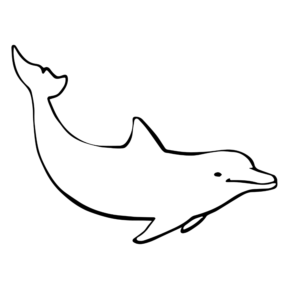 Dolphin Outline SVG, PNG, JPG, PDF Files | Craftpi