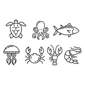 Ocean Animal Outline SVG, PNG, JPG, PDF Files