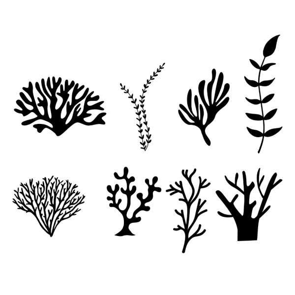 Ocean Plant Bundle SVG, PNG, JPG, PDF Files