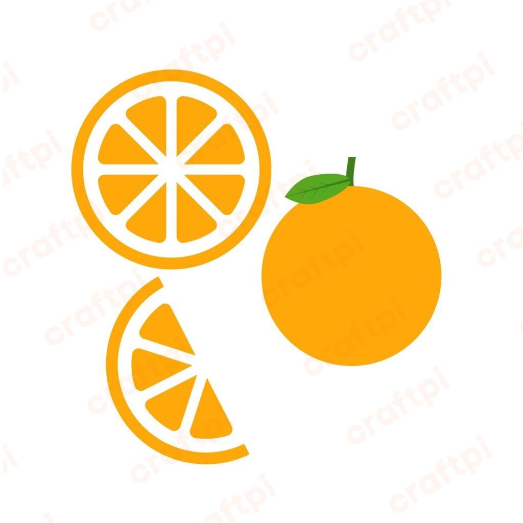 Orange Fruit Bundle SVG, PNG, JPG, PDF Files