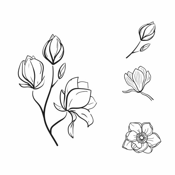 Magnolia Flower Bundle SVG, PNG, JPG, PDF Files