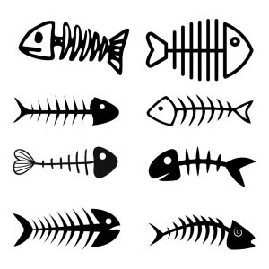 Skeleton Fish Bundle SVG, PNG, JPG, PDF Files