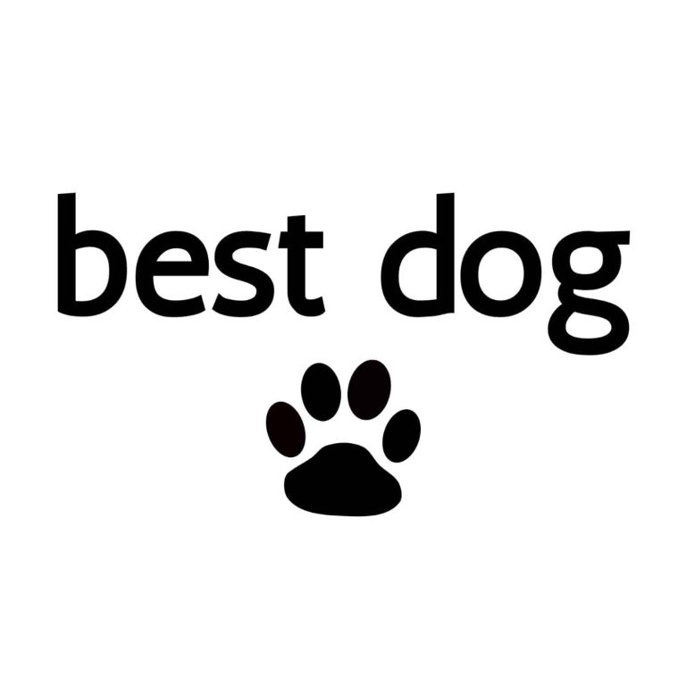 Best Dog SVG, PNG, JPG, PDF Files