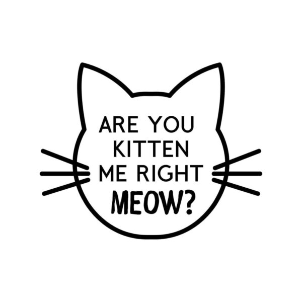 Are You Kitten Me SVG, PNG, JPG, PDF Files