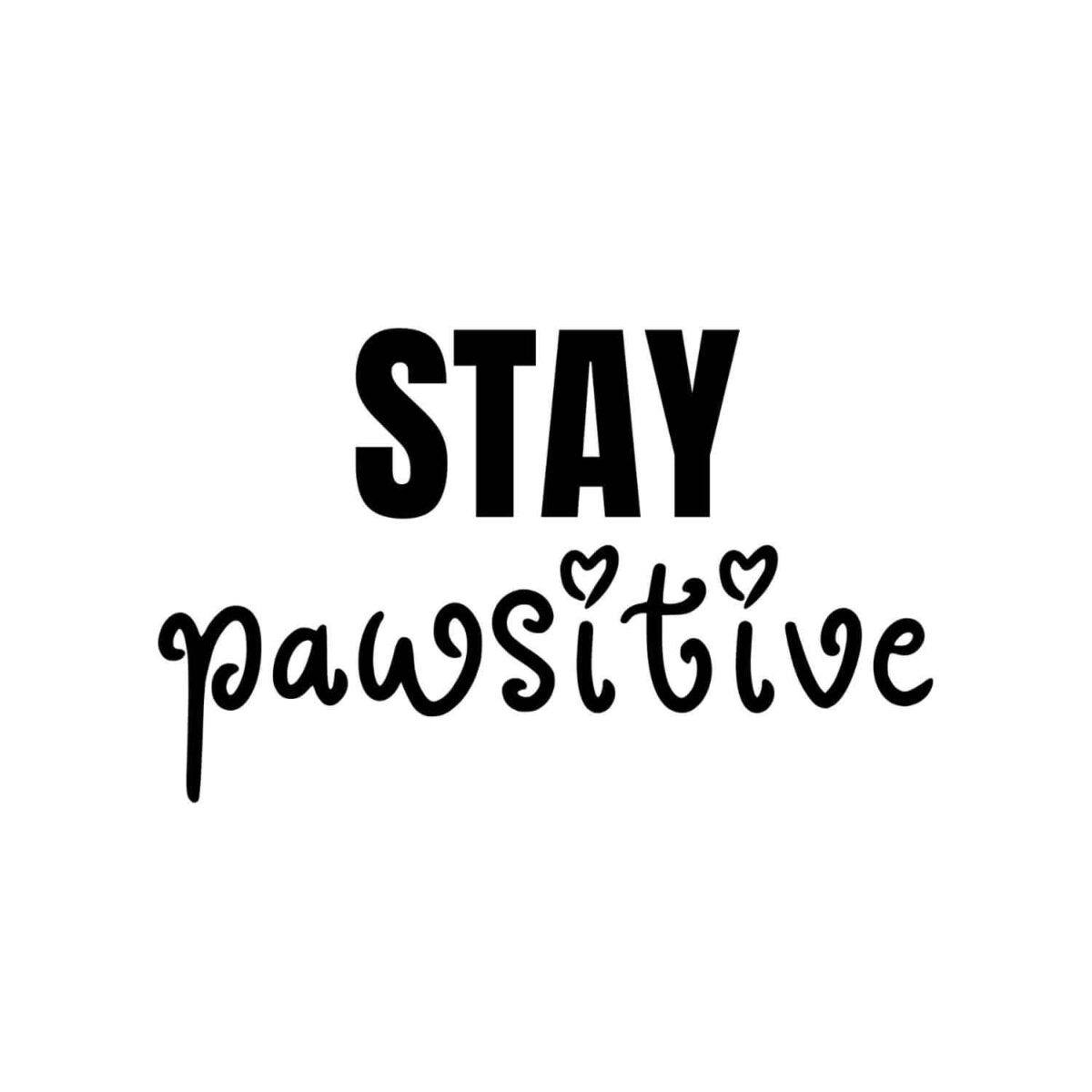 Stay Pawsitive 2 SVG, PNG, JPG, PDF Files