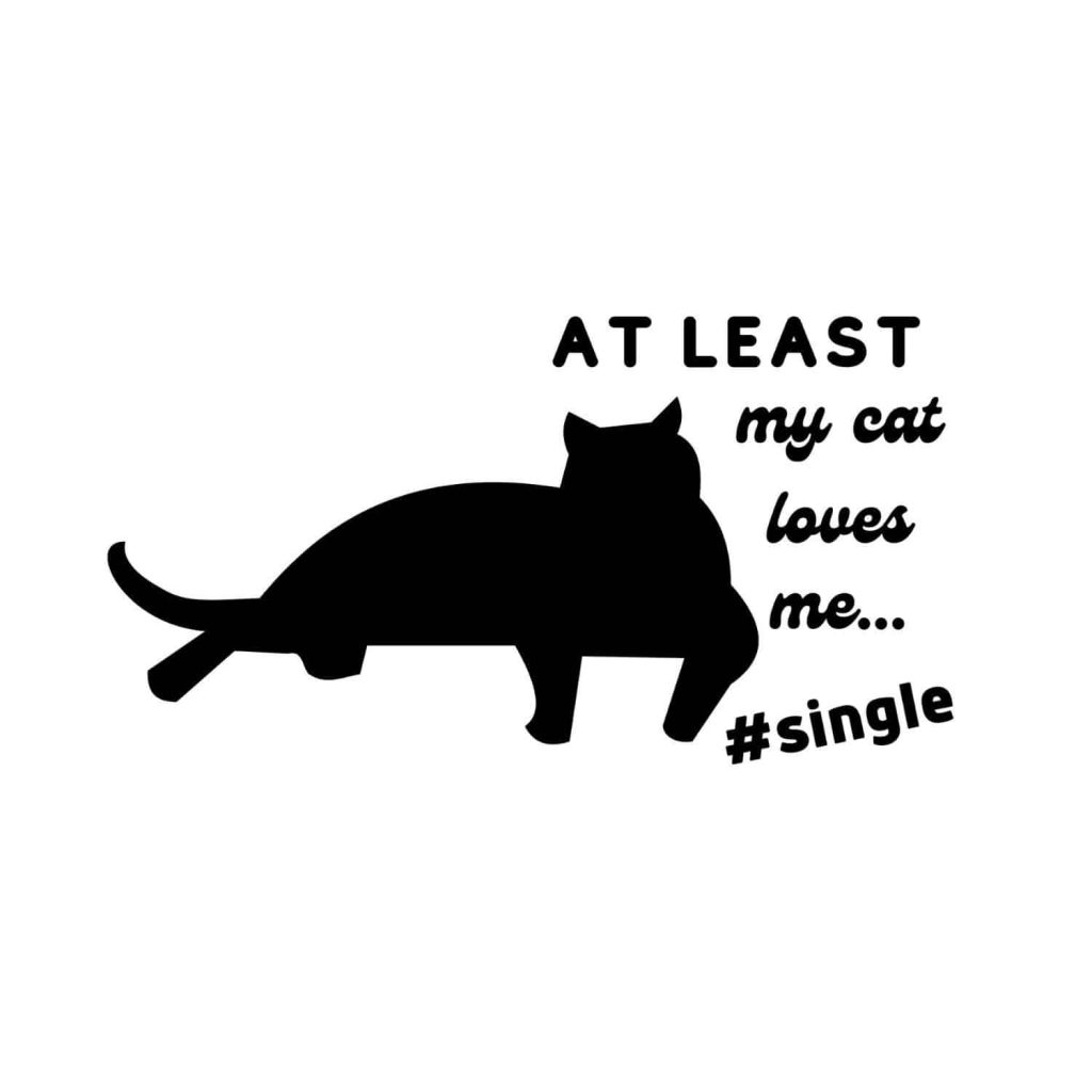 Atleast My Cat Loves Me SVG, PNG, JPG, PDF Files Craftpi