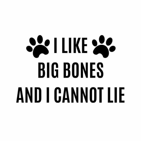 I Like Big Bones And I Cannot Lie SVG, PNG, JPG, PDF Files