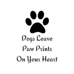 Dogs Leave Paw Prints On Your Heart SVG, PNG, JPG, PDF Files