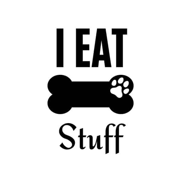 Dog Treat I Eat Stuff SVG, PNG, JPG, PDF Files