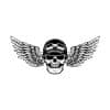 Skull With Wings SVG, PNG, JPG, PDF Files