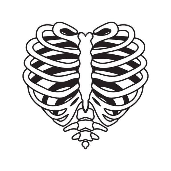 Skeleton Rib Cage Heart SVG, PNG, JPG, PDF Files