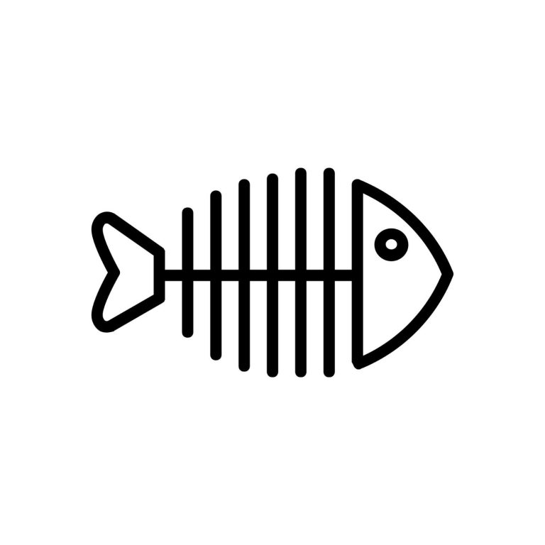 Fish Skeleton Outline SVG, PNG, JPG, PDF Files