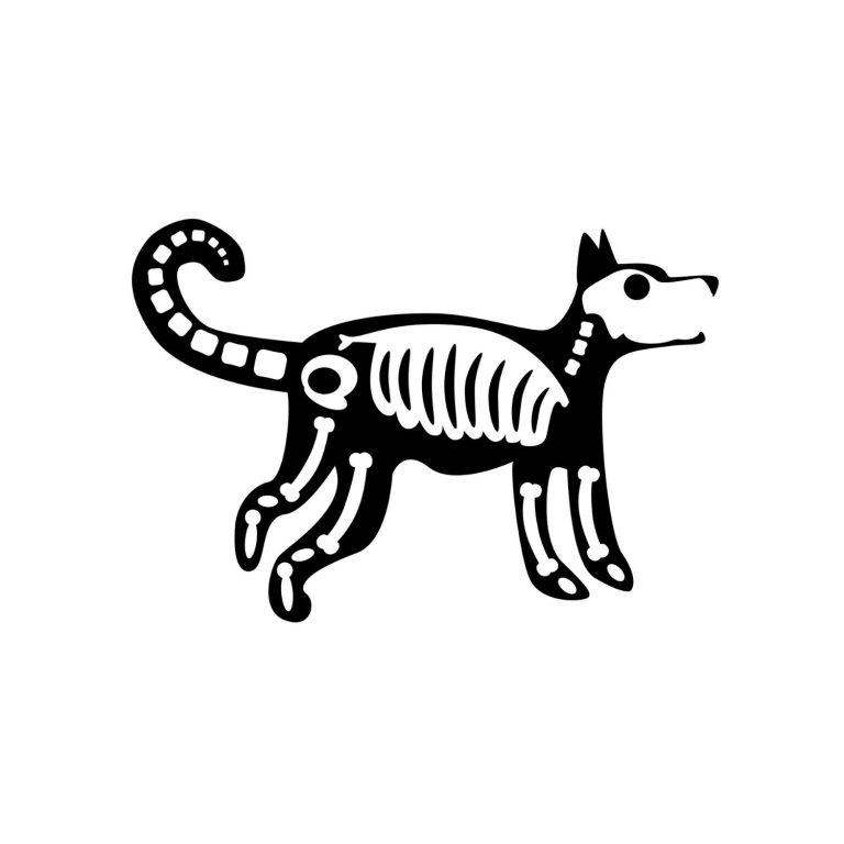 Dog Skeleton SVG, PNG, JPG, PDF Files