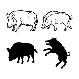 Hunting Boar Bundle SVG, PNG, JPG, PDF Files