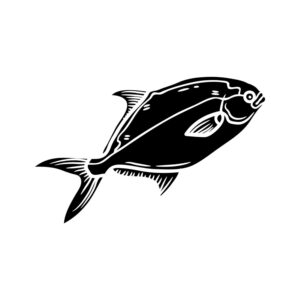 Pompano Fish Clipart SVG, PNG, JPG, PDF Files