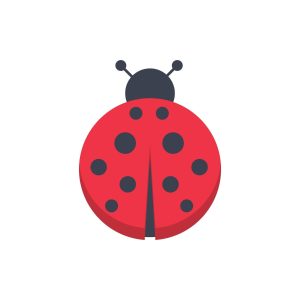Ladybird SVG, PNG, JPG, PDF Files