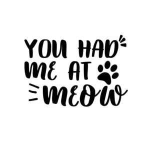 You Had Me At Meow 2 SVG, PNG, JPG, PDF Files
