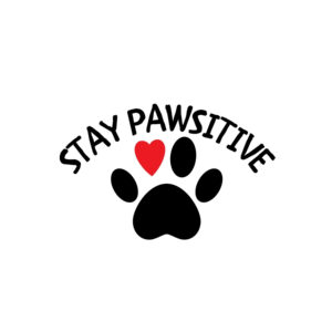Stay Pawsitive 2 SVG, PNG, JPG, PDF Files