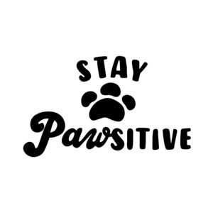 Stay Pawsitive SVG, PNG, JPG, PDF Files