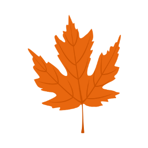 Fall SVG, Fall Leaves SVG Designs and Cut File