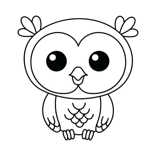 Free Cute Owl Outline SVG, PNG, JPG, PDF Files