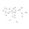 Free Flock Of Flying Birds SVG, PNG, JPG, PDF Files