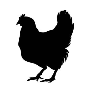 Free Hen Silhouette SVG, PNG, JPG, PDF Files