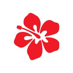 Free Hibiscus Flower Bloom SVG, PNG, JPG, PDF Files