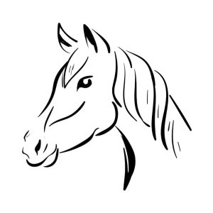 Free Horse Head Black And White SVG, PNG, JPG, PDF Files