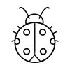 Free Lady Bug Outline SVG, PNG, JPG, PDF Files