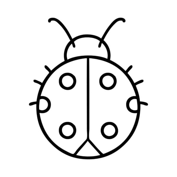 Free Lady Bug Outline SVG, PNG, JPG, PDF Files