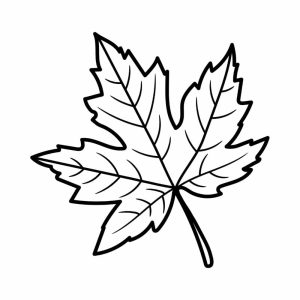 Free Maple Leaf Outline SVG, PNG, JPG, PDF Files