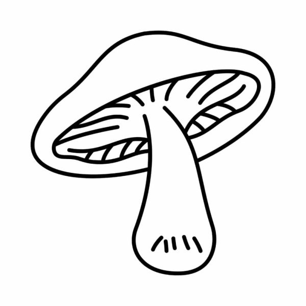 Free Mushroom Outline SVG, PNG, JPG, PDF Files