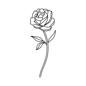 Free Rose Flower Outline SVG, PNG, JPG, PDF Files