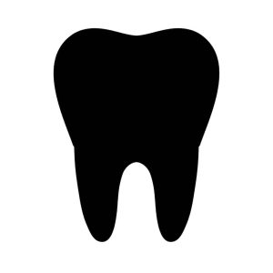 Free Tooth Silhouette SVG, PNG, JPG, PDF Files