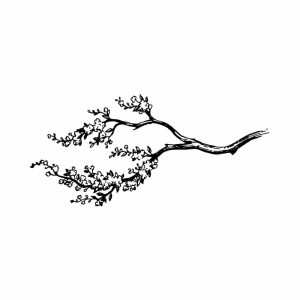 Free Tree Brench SVG, PNG, JPG, PDF Files