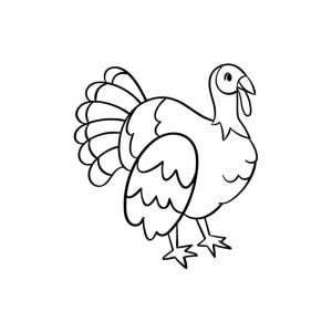 Free Turkey Outline SVG, PNG, JPG, PDF Files