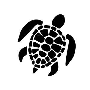 Free Turtle SVG, PNG, JPG, PDF Files