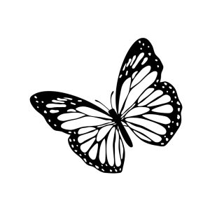 Free Butterfly Decoration SVG, PNG, JPG, PDF Files