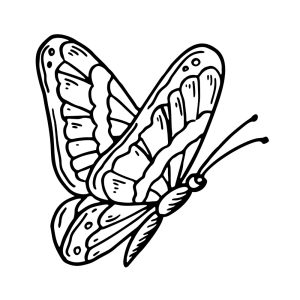 Free Butterfly Decorative SVG, PNG, JPG, PDF Files