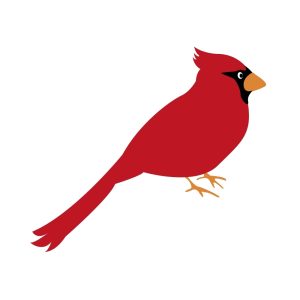 Free Cardinal Bird SVG, PNG, JPG, PDF Files