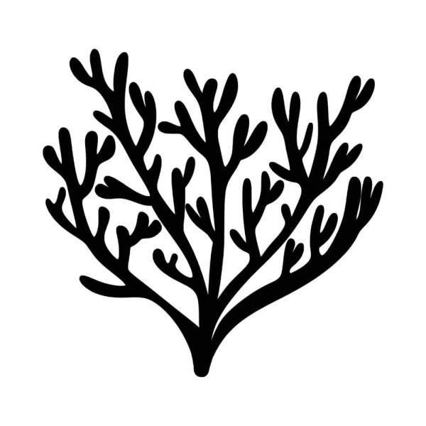 Free Coral Silhouette SVG, PNG, JPG, PDF Files