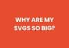 Why are my SVGs so big?